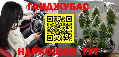 скорость Новодвинск