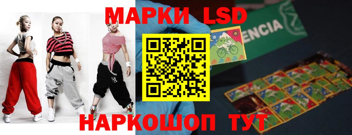 МЕФ Сургут